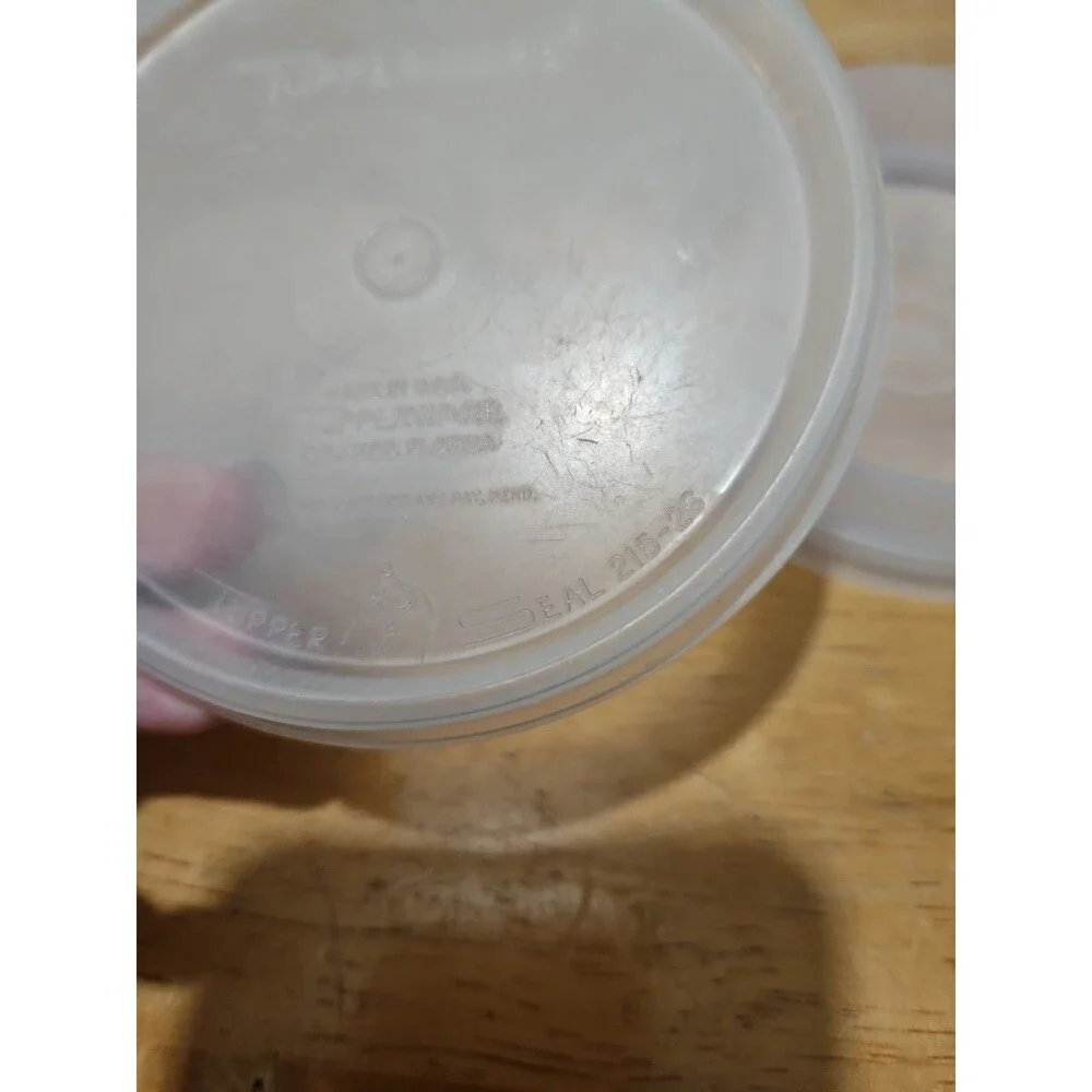 Set of 4 Vintage Tupperware Sheer Hamburger Keepers #882 W/ Lid & Press